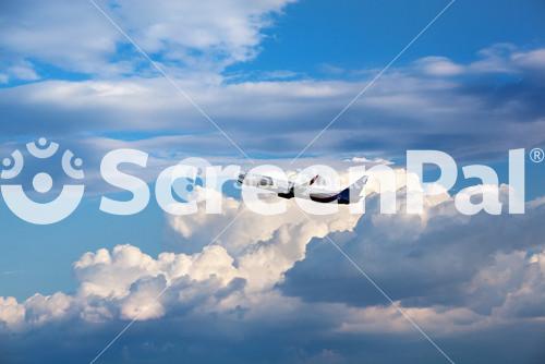 Airplane In The Sky